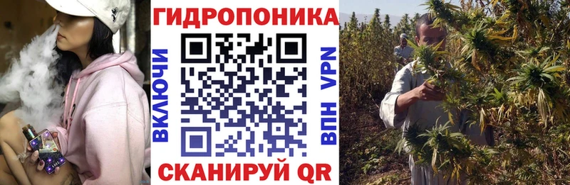 Где купить наркоту Зима СК  Бошки Шишки  COCAIN 