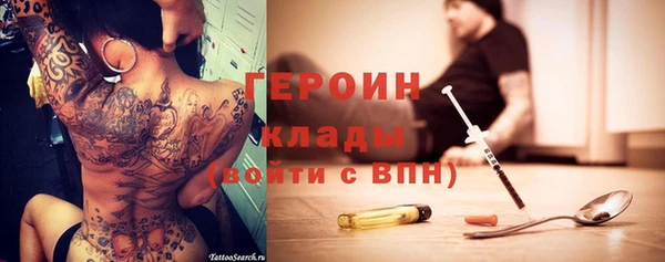 гидра Арсеньев