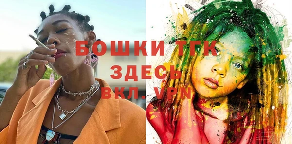 гидра Арсеньев