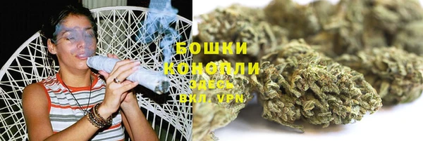 гидра Арсеньев