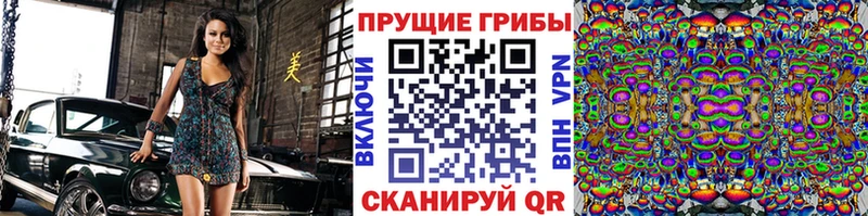 Псилоцибиновые грибы ЛСД  Зима 